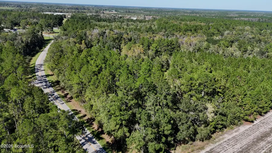 4404 Manor Millwood Road S, Manor, GA 31550 - #3