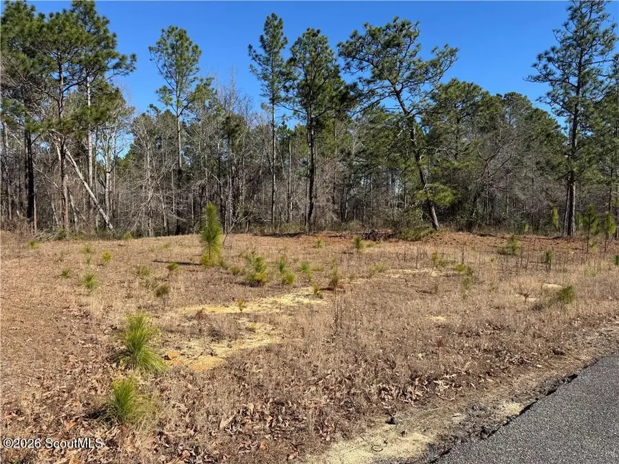 00 N Morningside Drive, Vidalia, GA 30474 - #3