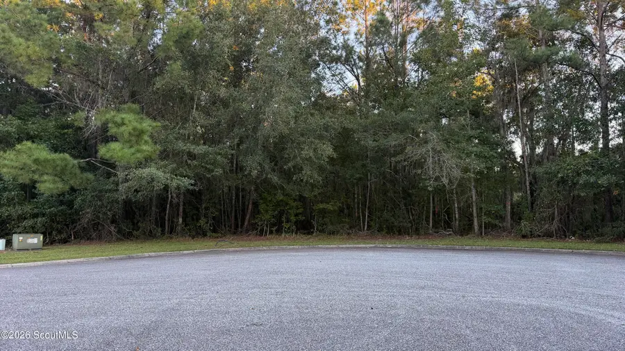 00 Pearl Court #64, Waverly, GA 31565 - #2