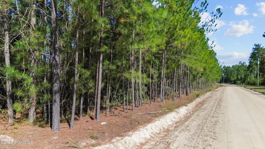0 Calvary Road Ne, Ludowici, GA 31316 - #3