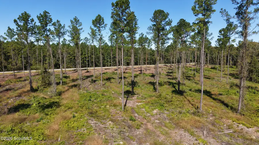 0 Old C C C Road #Lot 3, Brunswick, GA 31523 - #3