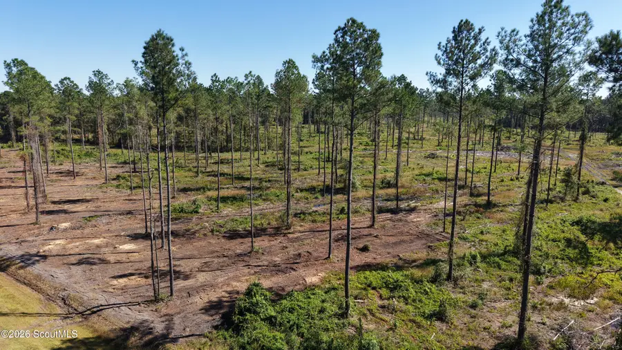 0 Old C C C Road #Lot 5, Brunswick, GA 31523 - #2