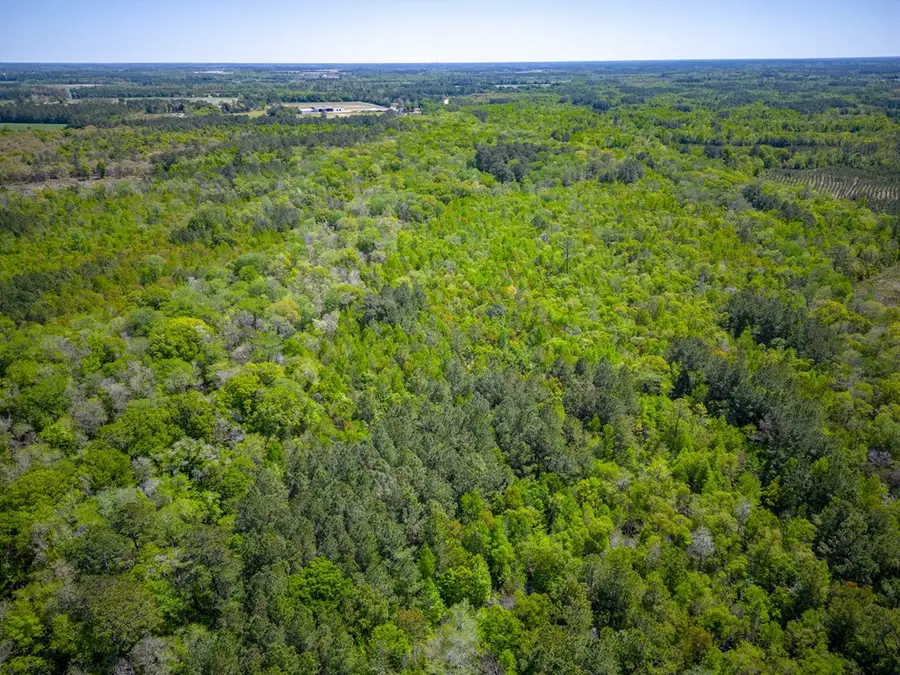 0 Ward Boyette Road, Bristol, GA 31518 - #2