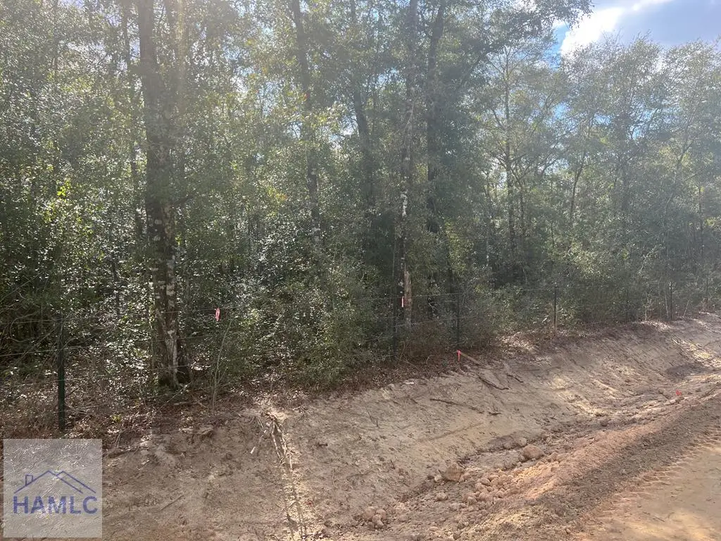 837 Bluff Road, Jesup, GA 31545 - #1