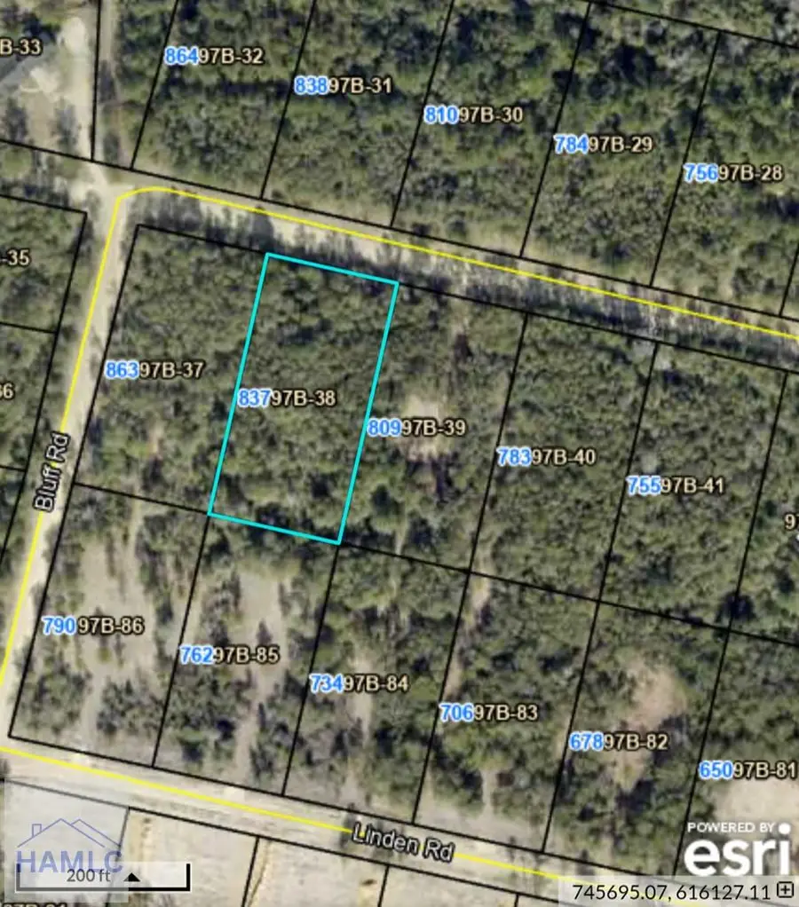 837 Bluff Road, Jesup, GA 31545 - #3