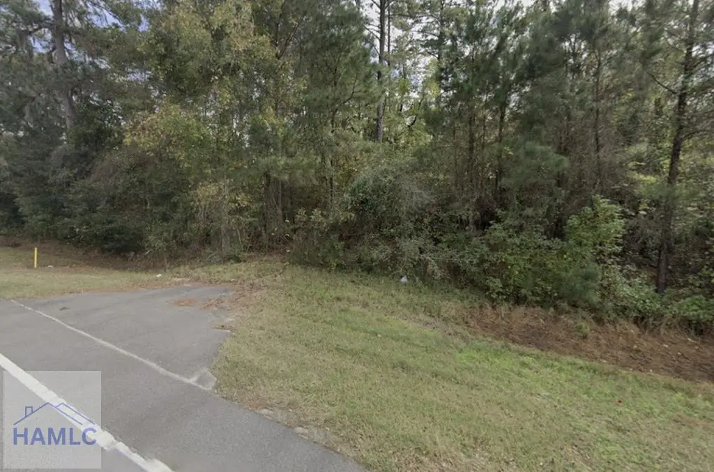 1.54 Ac East Oglethorpe Highway, Midway, GA 31320 - #1