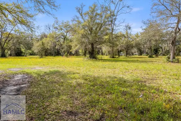 Lot 23 Bermuda Bluff Lane, Midway, GA 31320