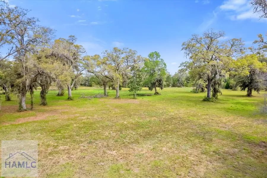 Lot 23 Bermuda Bluff Lane, Midway, GA 31320 - #3