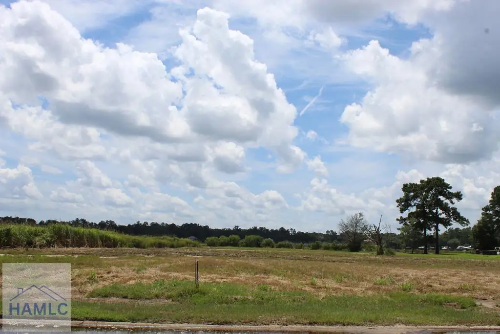 0 Jerico Marsh Road, Midway, GA 31320 - #1