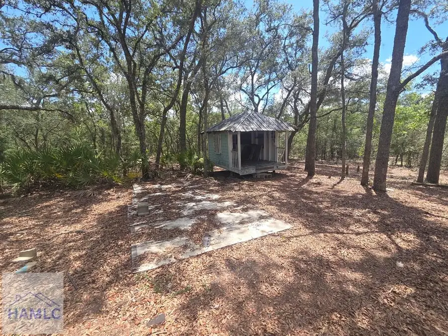 5927 Yellow Bluff Road, Blackshear, GA 31516 - #3