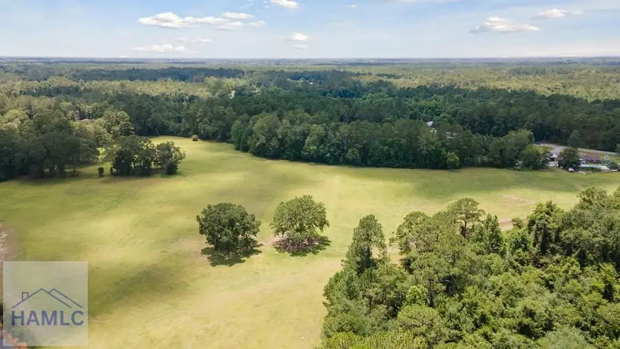 35+ Acre Wells Road, Hinesville, GA 31313 - #3