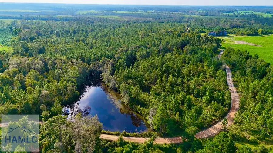 Tract 1 Rhonda Coleman Road, Hazlehurst, GA 31539 - Image #3