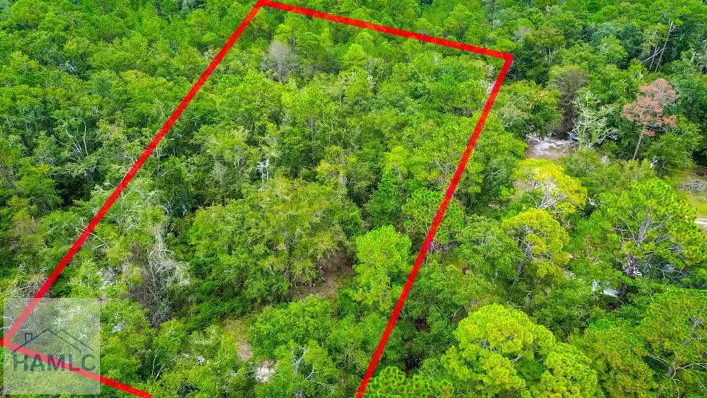 0 & 1 Denise Lane, Walthourville, GA 31333 - Image #1