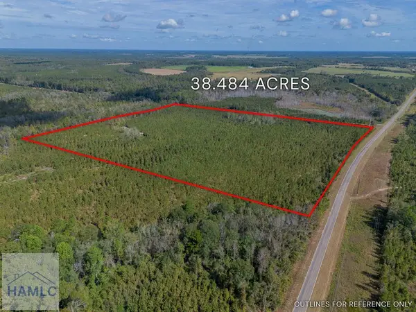 0 Kinnett Road, Jacksonville, GA 31544