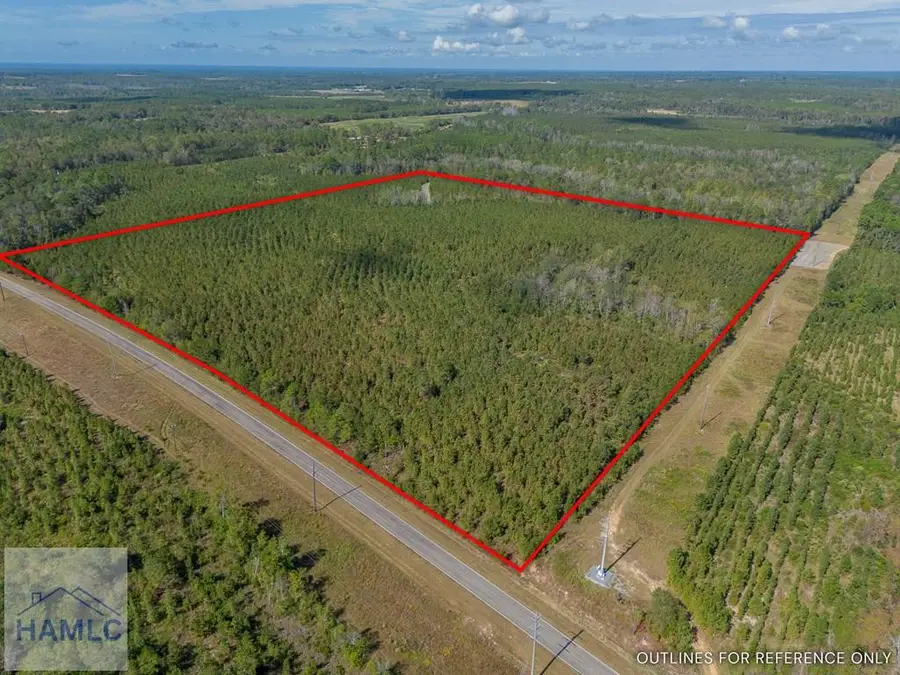 0 Kinnett Road, Jacksonville, GA 31544 - Image #3