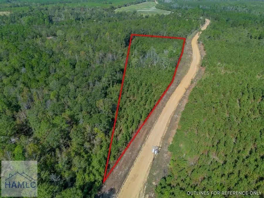 0 United Church Road, Jacksonville, GA 31544 - Image #2