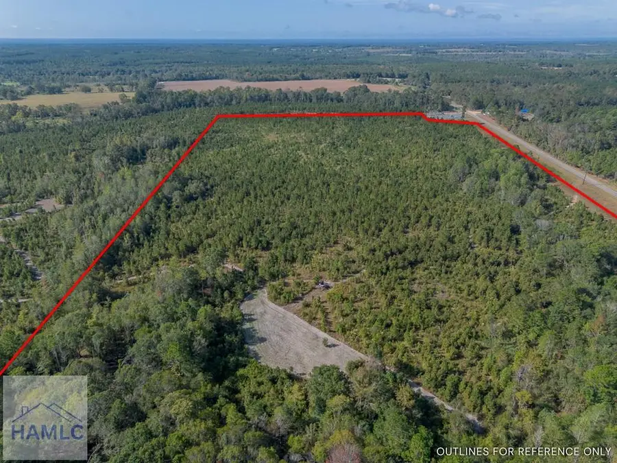 0 Kinnett Road, Jacksonville, GA 31544 - Image #2