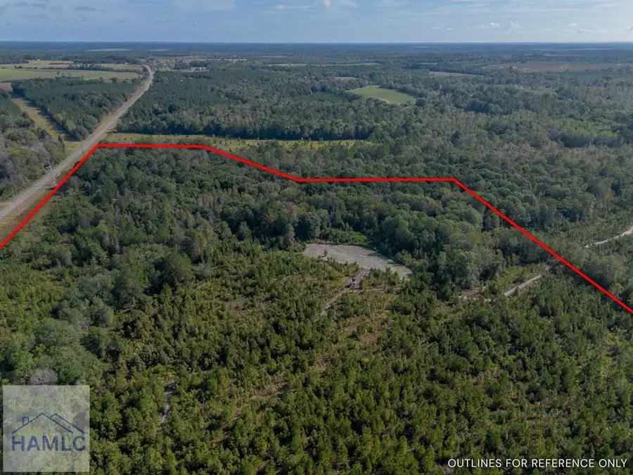 0 Kinnett Road, Jacksonville, GA 31544 - Image #3