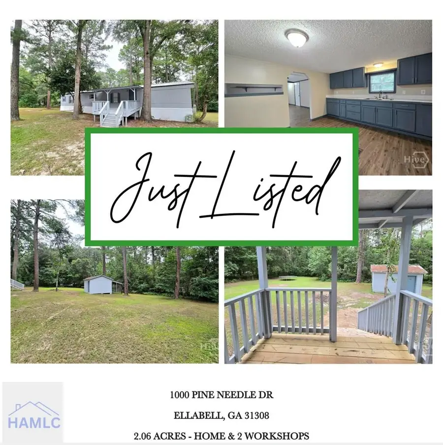 1000 Pine Needle Drive, Ellabell, GA 31308 - Image #3