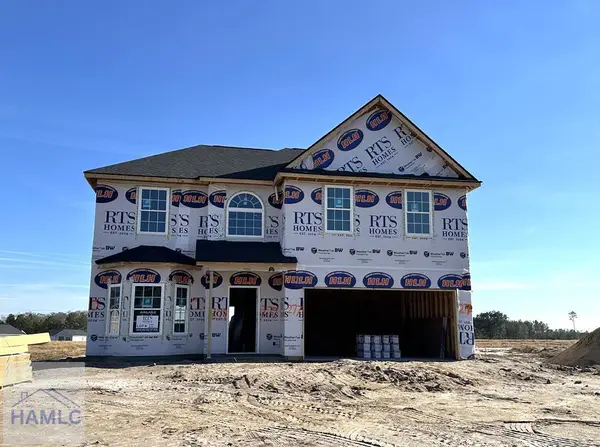 509 Doctor's Creek Road Ne, Ludowici, GA 31316