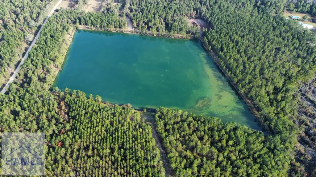 Address Withheld By Seller, Odum, GA 31555 - Image #1