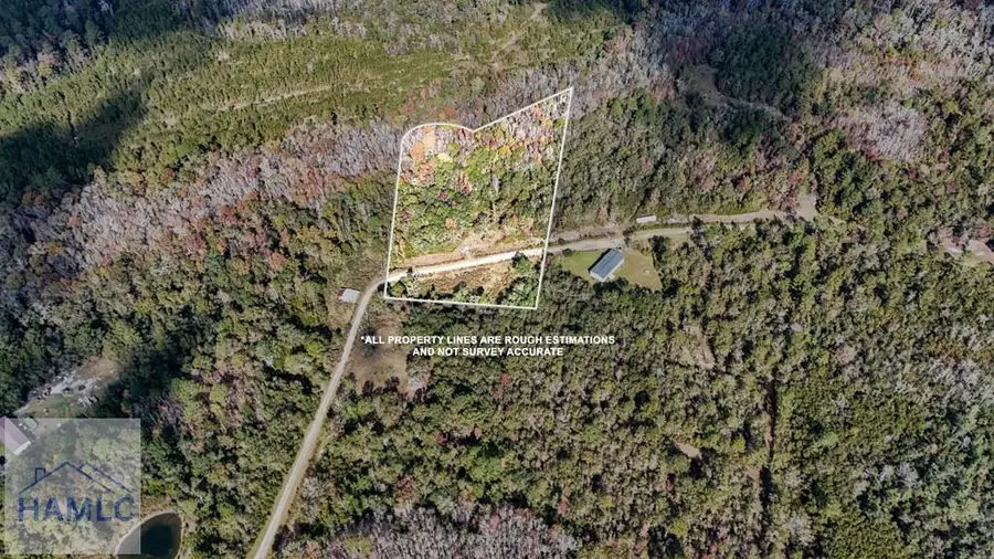 5+ Acres Moody Road, Ludowici, GA 31316 - Image #2