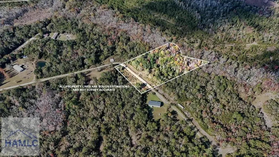 5+ Acres Moody Road, Ludowici, GA 31316 - Image #3