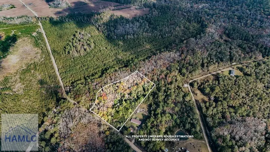 3.86 Smiley Road Ne, Ludowici, GA 31316 - Image #3