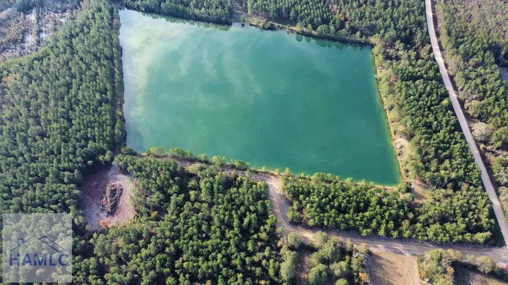 Lot 1 Brentwood Drive, Odum, GA 31555 - Image #1