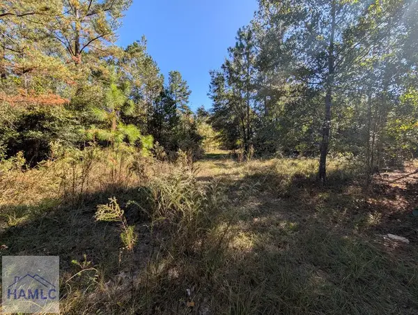 1300 South Palm Street, Jesup, GA 31546