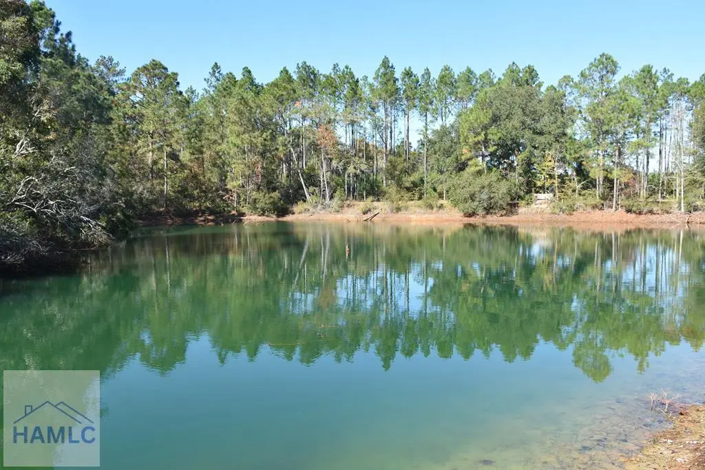 000 Barrett Cemetery Road Ne, Ludowici, GA 31316 - Image #1