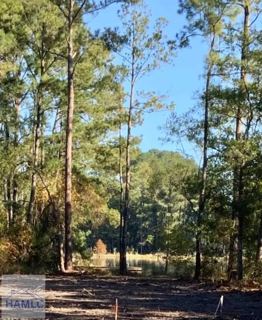 259 Island Drive, Midway, GA 31320 - Image #2