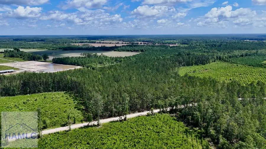 Tract 2 Bennett Mill Pond Road, Odum, GA 31555 - Image #2