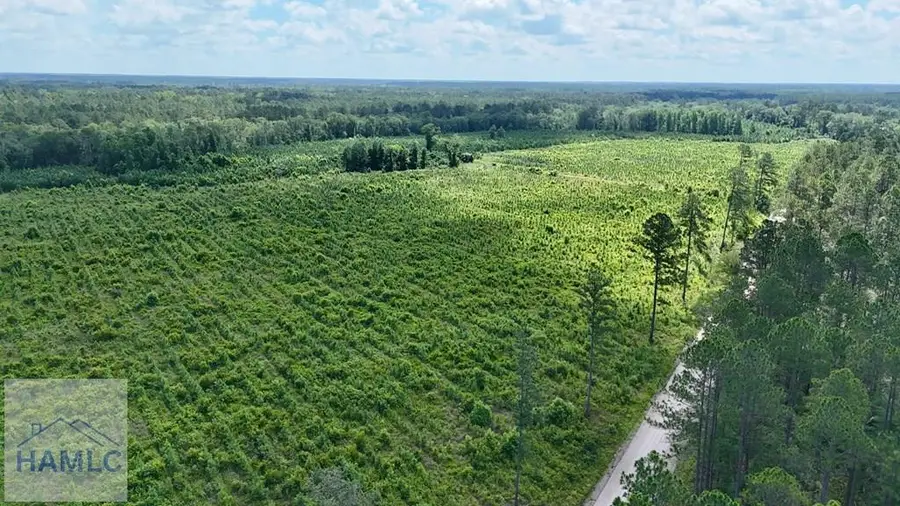 Tract 2 Bennett Mill Pond Road, Odum, GA 31555 - Image #3