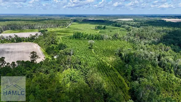 Tract 4 Bennett Mill Pond Road, Odum, GA 31555