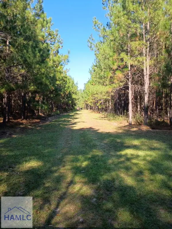 0 Thomas Road, Millen, GA 30442
