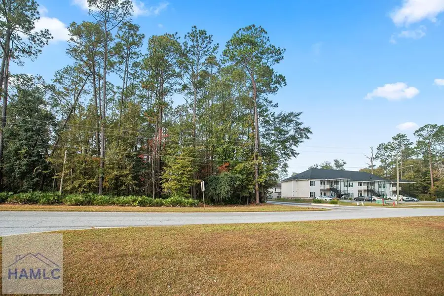 829 Olmstead Drive, Hinesville, GA 31313 - Image #3