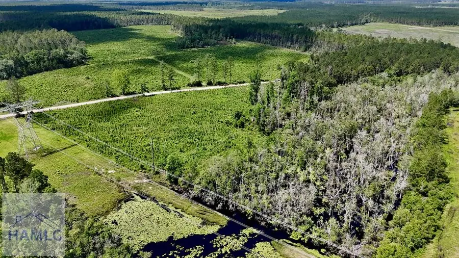 Tract 1 Bennett Mill Pond Road, Odum, GA 31555 - Image #2