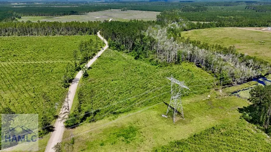 Tract 1 Bennett Mill Pond Road, Odum, GA 31555 - Image #3