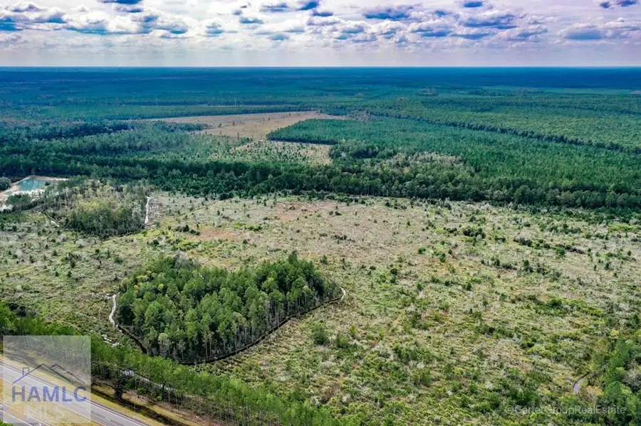 0 Memorial Drive, Waycross, GA 31503 - Image #2