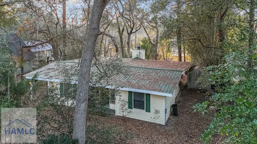 751 Ft Macintosh Loop, Hortense, GA 31543 - Image #2