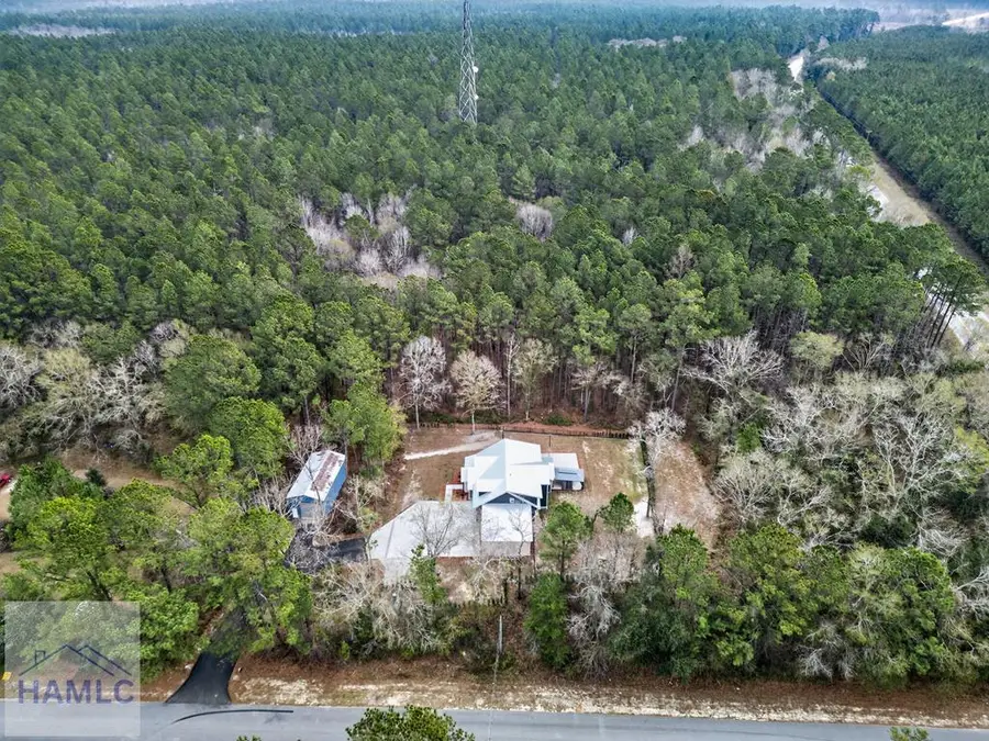 80 Alma Flournoy Road, Ludowici, GA 31316 - #3