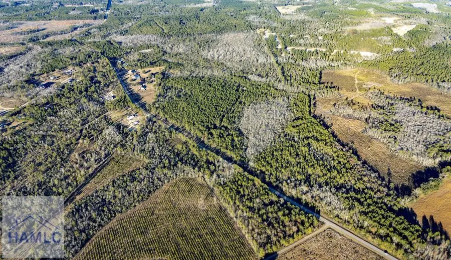 Tract 2 Smiley Road Ne, Ludowici, GA 31316 - #2