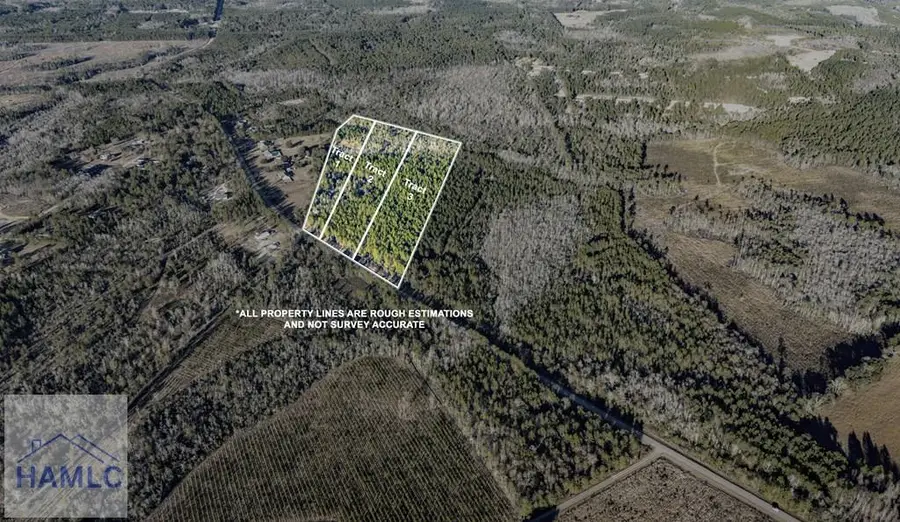 Tract 2 Smiley Road Ne, Ludowici, GA 31316 - #3