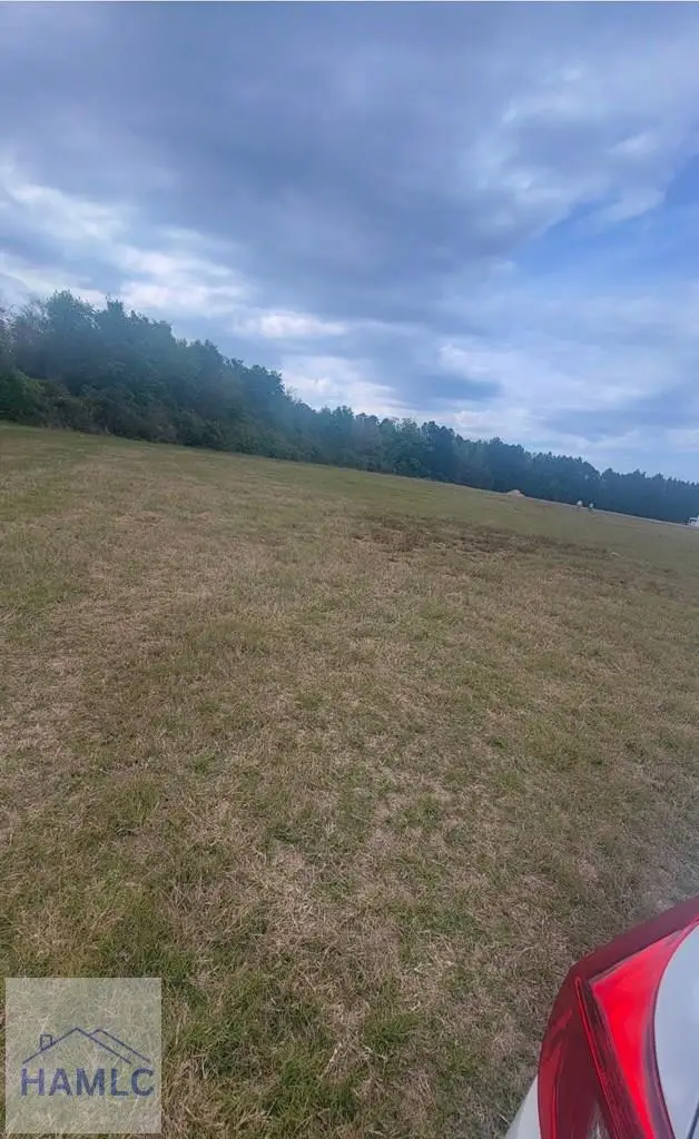 481&523 S. T. Morris Road, Ludowici, GA 31316 - Image #2