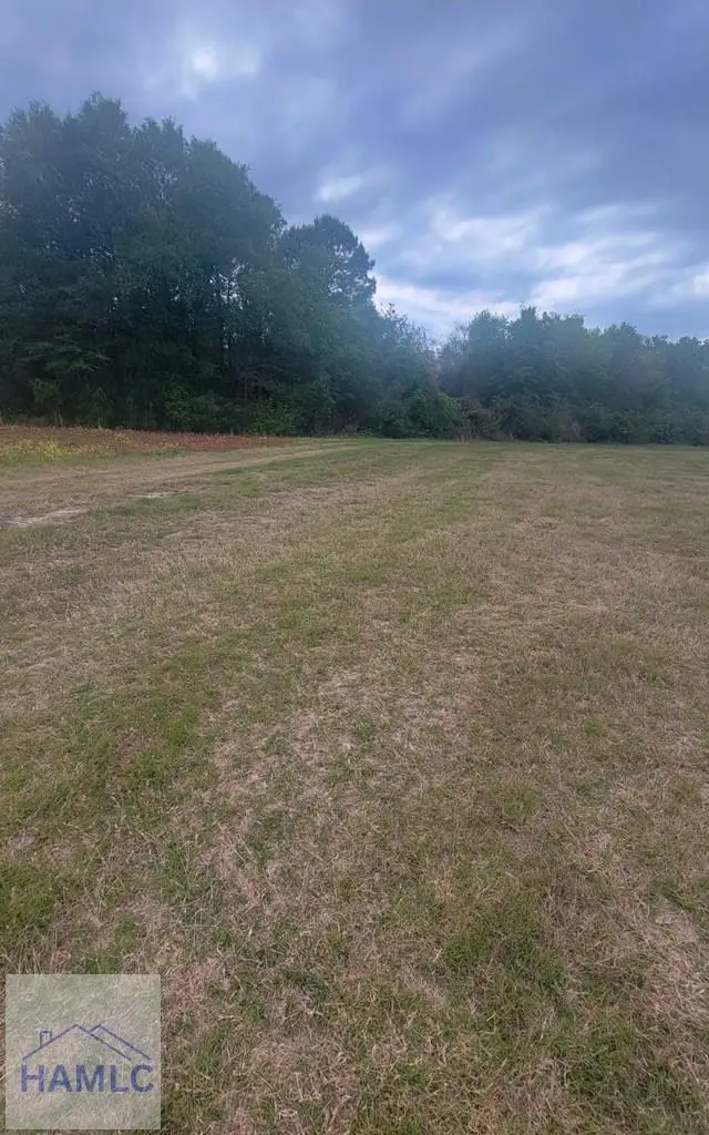 481&523 S. T. Morris Road, Ludowici, GA 31316 - Image #3