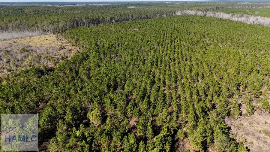 19 AC Owens Road, Odum, GA 31555 - Image #3