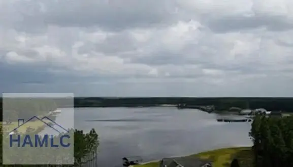 0 Jimmie Ree Lane, Bristol, GA 31518 - #1