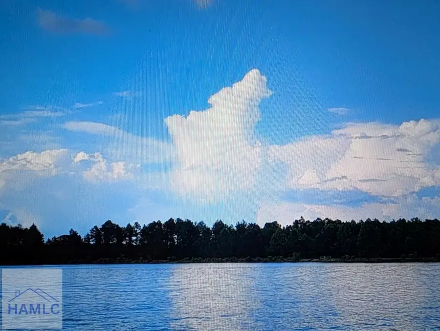 0 Jimmie Ree Lane, Bristol, GA 31518 - #2