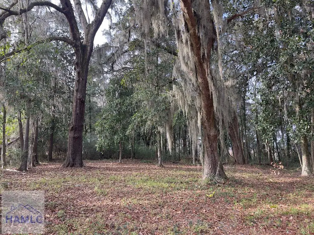 121 Salt Creek Road, Garden City, GA 31405 - Image #1